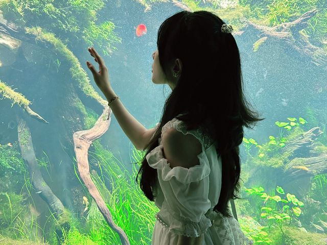 🌵【上海新地標！亞洲最大溫室花園「上海溫室花園」開放啦～沙漠雨林一次看夠，隨手一拍就是科幻大片！】🌵