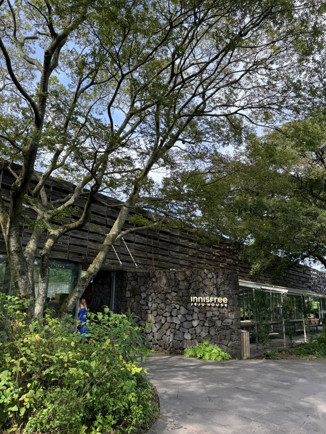 Sipping Serenity at Osulloc Jeju 🍵✨
