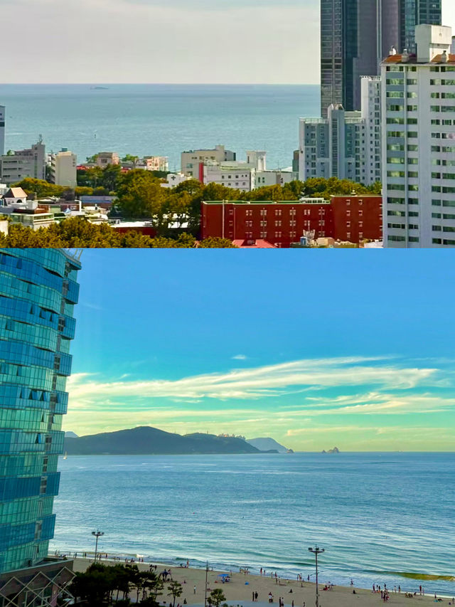🌊부산 바다 송정 vs 광안리 vs 해운대 💫 🌊부산 바다 송정 vs 광안리 vs 해운대 💫