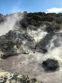 Hell’s Gate – Geothermal Wonder and Cultural Experience in New Zealand