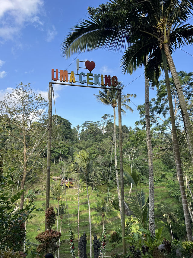 Ultimate Bali Vibes: 3-Day Itinerary ✨🌴 Ultimate Bali Vibes: 3-Day Itinerary ✨🌴