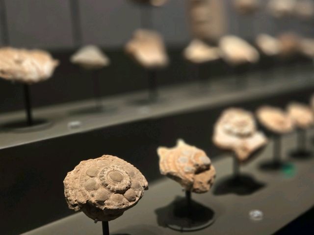 博物館裏的古文明探索🌟西夏陵博物館
