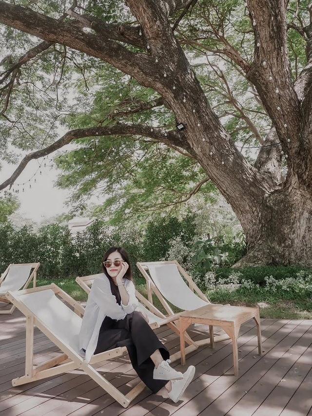 คาเฟ่เขาใหญ่ Like a mountain Khao yai  