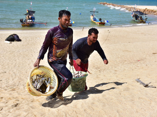 สดกว่านี้ไม่มีอึกแล้ว ตลาดปลาทะเล ตากใบ สดกว่านี้ไม่มีอึกแล้ว ตลาดปลาทะเล ตากใบ