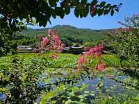 Seochulji Pond