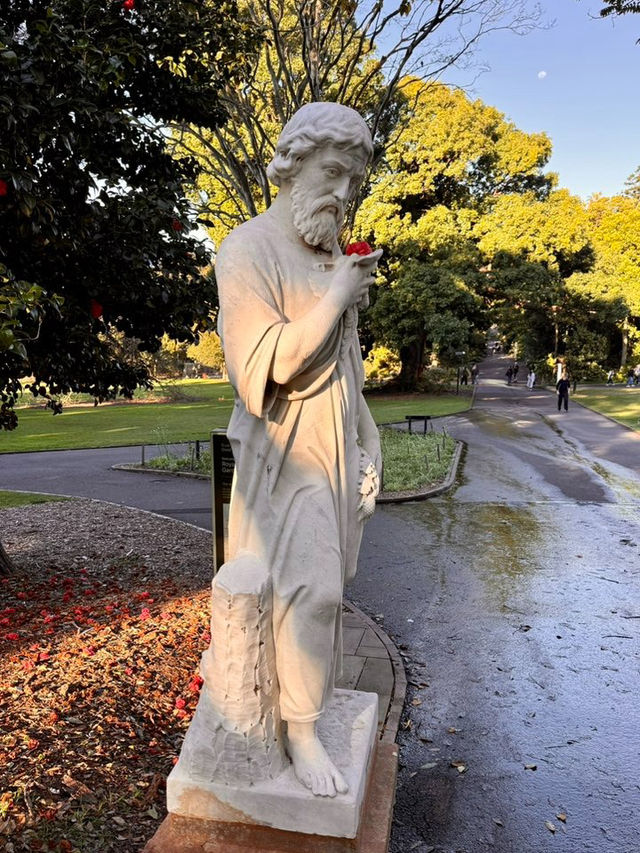 My Stroll Through Royal Botanical Gardens Sydney