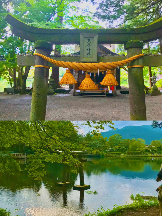 유후인의 보석, 킨린호수 옆 신사 산책 ⛩️✨