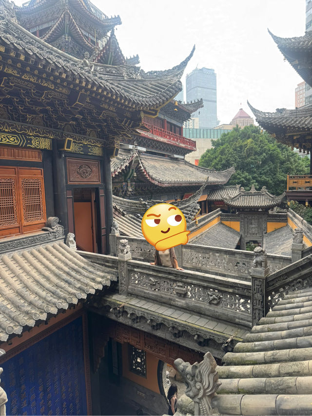 Wulong’s Misty Magic🌫️