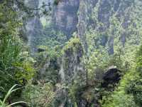 Pillars of Wonder: My Sky-High Escape to Yuanjiajie