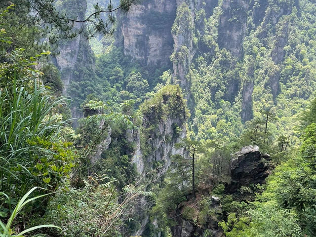 Pillars of Wonder: My Sky-High Escape to Yuanjiajie