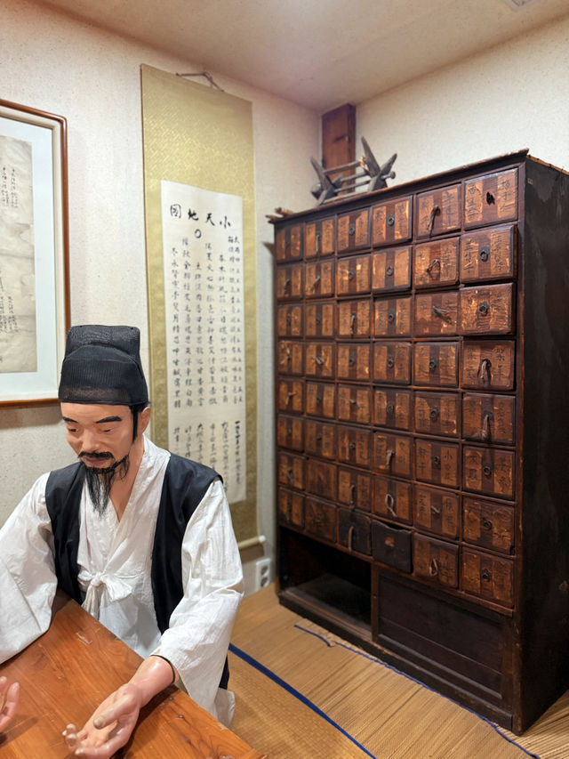 大邱｜到藥令市韓醫藥博物館 看懂自成流派的韓醫源流