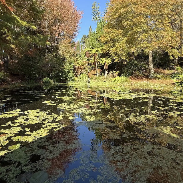 Ayrlies Garden and Wetlands