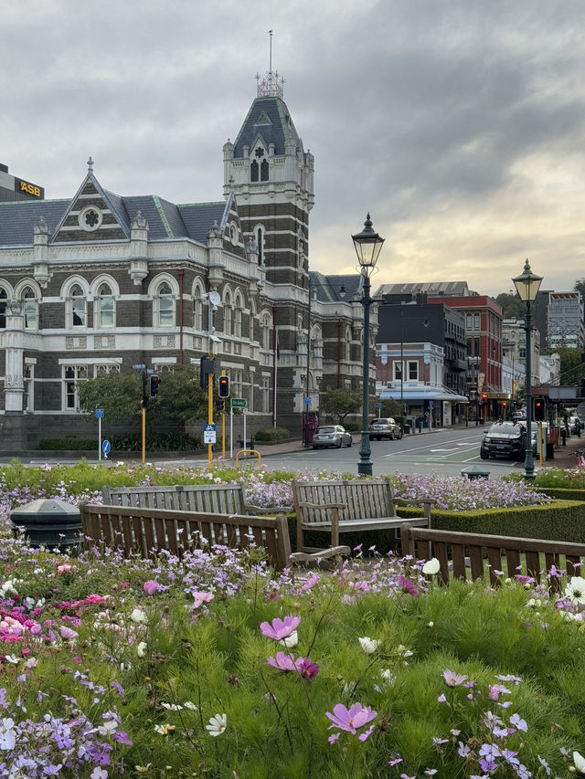 【ニュージーランド・ダニーデン】世界一美しいと称される駅「ダニーデン駅」🏛️🌿 【ニュージーランド・ダニーデン】世界一美しいと称される駅「ダニーデン駅」🏛️🌿