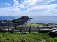 🐾 รีวิว: The Nobbies – จุดชมวิวและธรรมชาติ