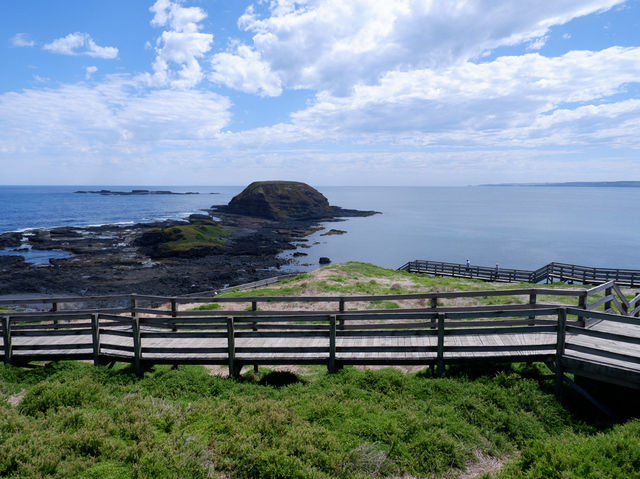 🐾 รีวิว: The Nobbies – จุดชมวิวและธรรมชาติ