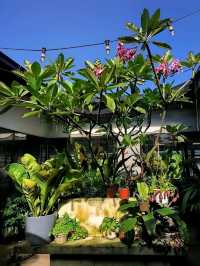 JB Foodie Guide: Coffee, Comfort & Charm at Fifty Trees. ☕🥗🍗🫑🍟🍰🫛🧁🍝🍕🥃
