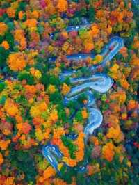 🍁✨ Nikko – The “Autumn Leaf Paradise” of Tochigi ✨🍂