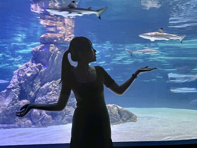 台中海洋館 台中海洋館