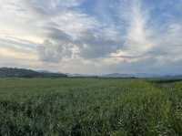 Suncheon Bay Nature Reserve
