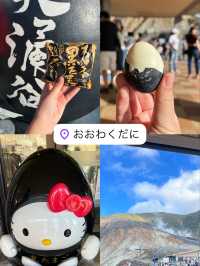 🌋 Owakudani Kurotamagokan (大涌谷 黒たまご館) – 5★ Experience!  A must-stop in Hakone! The famous black egg