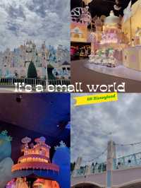 It’s a Small World 🌍