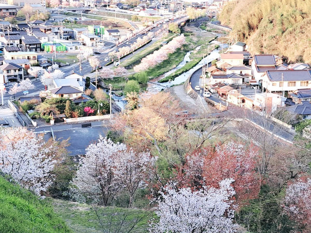 The Castle in the Mist: My Return to Tsuyama Castle