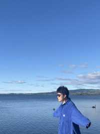 🇳🇿🦢 Rotorua's Swan Lake: Where Emerald Waters Meet Sapphire Skies! 🌊