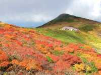 【山形県】出羽三山の霊峰！東北屈指の紅葉名所「月山」