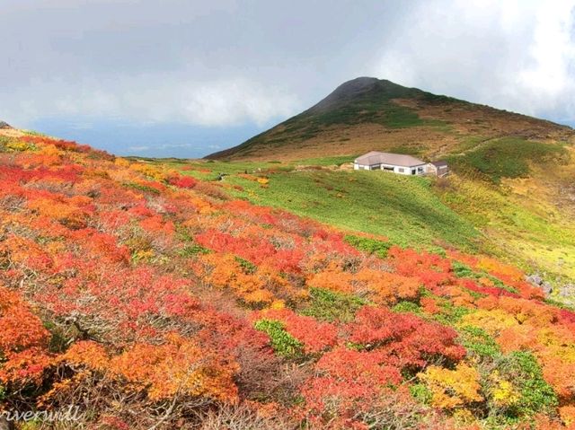 【山形県】出羽三山の霊峰！東北屈指の紅葉名所「月山」