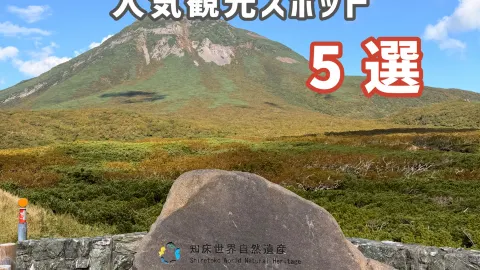 [ฮอกไกโด] 5 วิวสุดตระการตาที่ชิเรโตโกะ มรดกโลกทางธรรมชาติ🌊🌲 — traveler post in ระอูซุ
