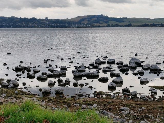Rotorua: Where Geothermal Wonders Meet Māori Heritage