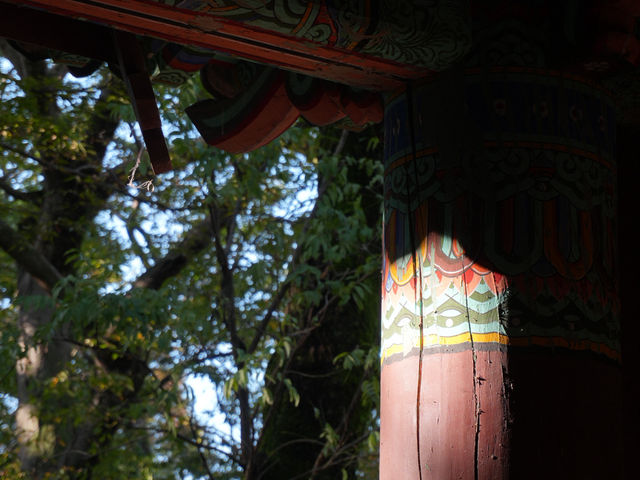 🌿숲 속 자연의 숨결을 느낄 수 있는 계룡산 ‘갑사’ 