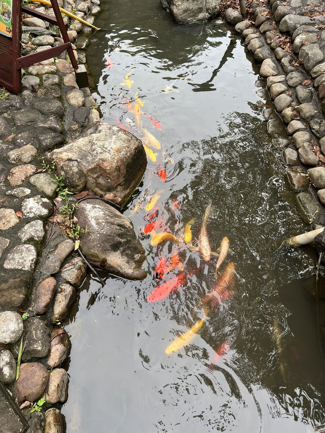 宜蘭一米特「下集」：把米做成 8 種美味的方式——雪莓娘到米香磚，全品項實逛＋體驗指南