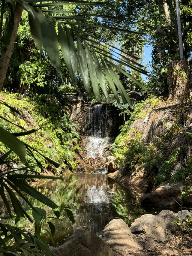 【オーストラリア・ダーウィン】水と緑に癒される「Botanic Garden Fountain」🌿💧🌺