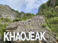 ชมดอกทานตะวันบาน ที่เขาเจียก