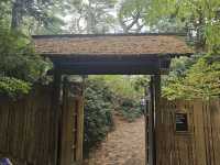 Brooklyn Botanic Garden