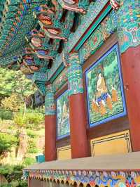평화로운 기운이 감도는 김해의 명소