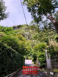 Tsurugaoka Hachimangu Shrine: Kamakura’s Majestic Cultural Jewel