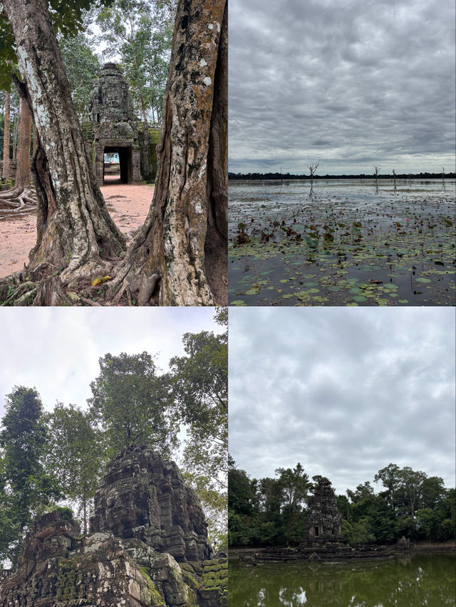 Days in Siem Reap 🇰🇭