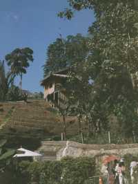 Chiang Rai (เชียงราย) 🏞️