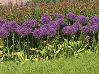 Huntsville Botanical Garden