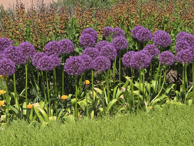 Huntsville Botanical Garden