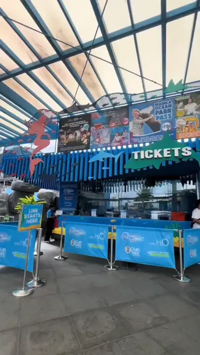 Strolling Manila Ocean Park: An Underwater Wonderland