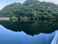 Zealandia Te Mara a Tane A Hidden Haven for Wildlife and Wonder
