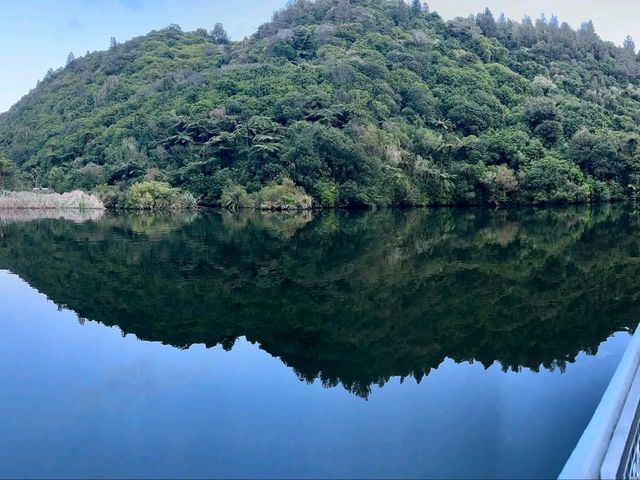 Zealandia Te Mara a Tane A Hidden Haven for Wildlife and Wonder Zealandia Te Mara a Tane A Hidden Haven for Wildlife and Wonder