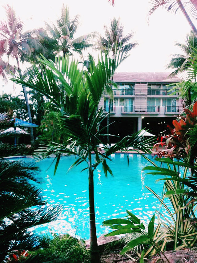 陽光泳池蔭蔽椰樹打卡指南📸