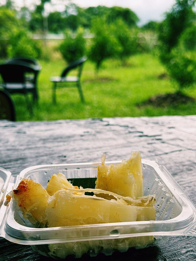 Cozy Kampung Eats🌿 Cozy Kampung Eats🌿