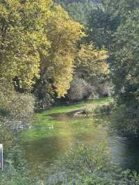 南法泉水城 Fontaine-de-Vaucluse💚被綠泉水治癒的一天