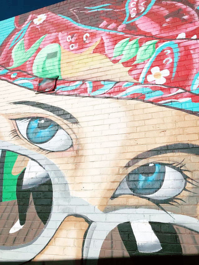 维州Benalla小鎮藝術漫游 -11月療癒打卡路線﻿