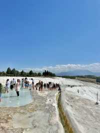 ์๋ฆ๋ค์ด ์ฌํ์ง ์ด๊ณณ